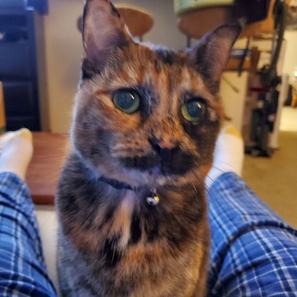 Meet your Posher, TKO - Picture 4 of 12